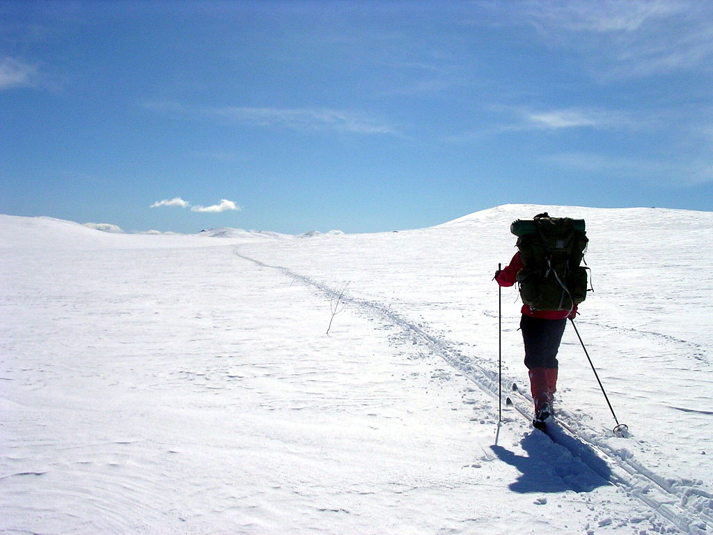 skitouring.jpg