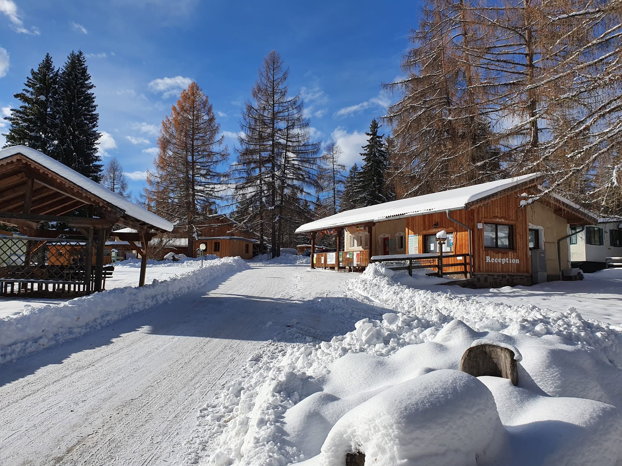 Club del Sole Val di Fiemme Easy Camping Village profilowe.jpg